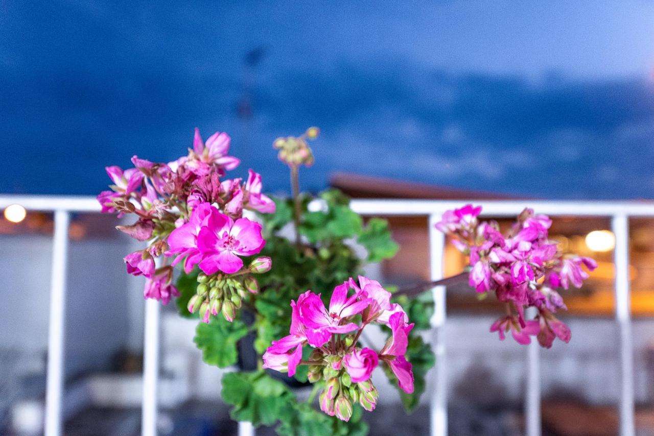 Bed and Breakfast La Scalinata Марина-ди-Манкаверса Экстерьер фото